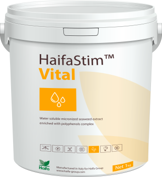 HaifaStim® Vital Amino und Alginsäuren + Betain